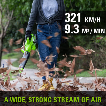 Greenworks Akku Laubsauger und Laubbläser mit Schultergurt, bürstenlosem Motor, 322 km/h, 45L Fangkorb, inklusive Batterien und Ladegerät.